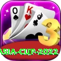 asia cup 2022 Premium Edition v2.0.9
