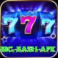 bbl big bash apk Pro1 v3.0.1