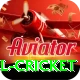 bbl cricket Apps (Tools & Injectors) Premium v2.9.8