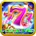 bbl cricket APK Mega v3.4.6