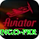 Bingo PKR Plus Pro v1.8.7