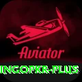 bingopkr Ultimate Pro v5.7.1