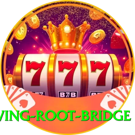 cherapunji living root bridge Games (Casino & Earning) Ultimate v3.4.4 - 2