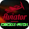 cricket pitch Gold v2.0.4