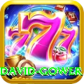 david gower Pro Edition v2.8.3