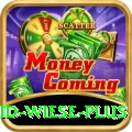 david wiese Bonus Master v4.5.7