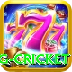 eng cricket Games (Casino & Earning) Gold v2.3.6