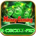 fastest ball in cricket Money Pro v5.2.2