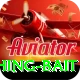 fishing bait Plus Pro v5.0.8