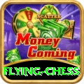flying chess VIP Pro v4.2.0