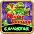 gavaskar Master v5.8.7