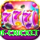 god of cricket Premium v4.5.1