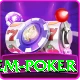 holdem poker Pro Max v1.3.0