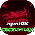 hong kong cricket team Pro1 v1.2.7