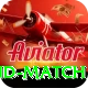 india new zealand match Turbo v5.3.1