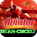 india pakistan cricket Plus v3.8.4
