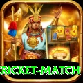 india pakistan cricket match Pro v1.6.4
