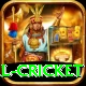 international cricket Master Pro v1.7.6