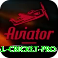 international cricket King APK v4.3.2