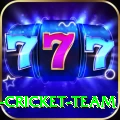 ireland cricket team Turbo Pro v5.9.0