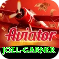 joel garner Premium Edition v5.8.3