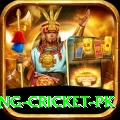 make money betting cricket pk Master Pro v1.6.7
