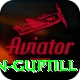 martin guptill VIP v5.6.0