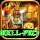 morne morkel Game VIP v5.9.8
