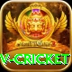 ndtv cricket Pro1 v2.2.6