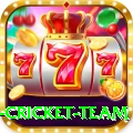 new zealand cricket team Elite Pro v5.5.5