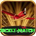 next cricket match Pro Edition v1.4.4