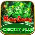 online cricket Slots Super v4.0.6