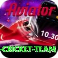 pakistan women cricket team Apps (Tools & Injectors) Deluxe v2.0.3