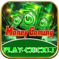 play cricket Gold Edition v4.4.5