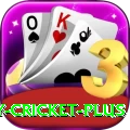 play cricket Extreme APK v2.0.5