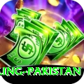 responsible gambling pakistan Deluxe Pro v3.8.6