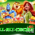 risk free bet cricket Games (Casino & Earning) Premium v4.6.6