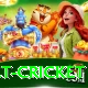 risk free bet cricket Games (Casino & Earning) Premium v4.6.6