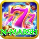 shaun marsh Master Pro v3.9.9