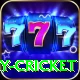 sky cricket Pro Edition v1.3.0