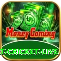 smart cricket live Deluxe v4.2.6
