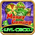 smartcric live cricket Plus v1.8.7