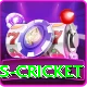 sports cricket Gold Edition v2.5.7
