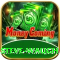 steve waugh Ultimate v4.6.7