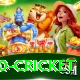 t20 cricket Premium Edition v2.4.6