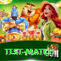 test match VIP v4.1.5
