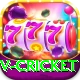 v cricket Ultimate Pro v5.1.7