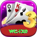 wc t20 Gold Edition v5.3.0