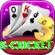 west indies cricket Deluxe Pro v4.2.4