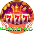 willow cricket Prime - Casino & Slots